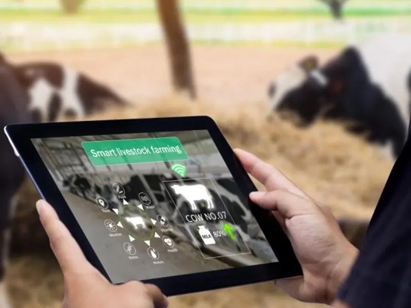 RSL10 Sense kit layout